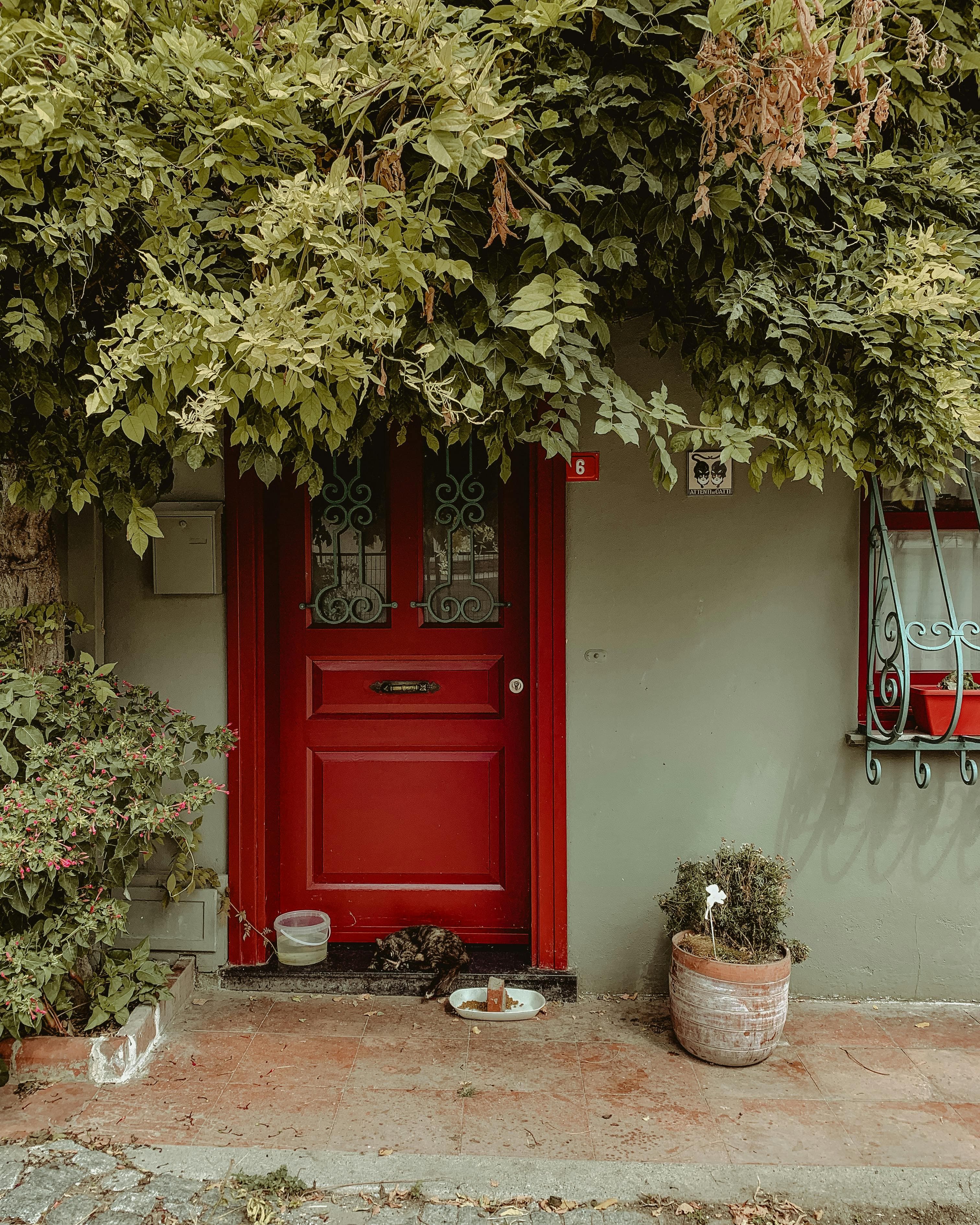 A bright front door